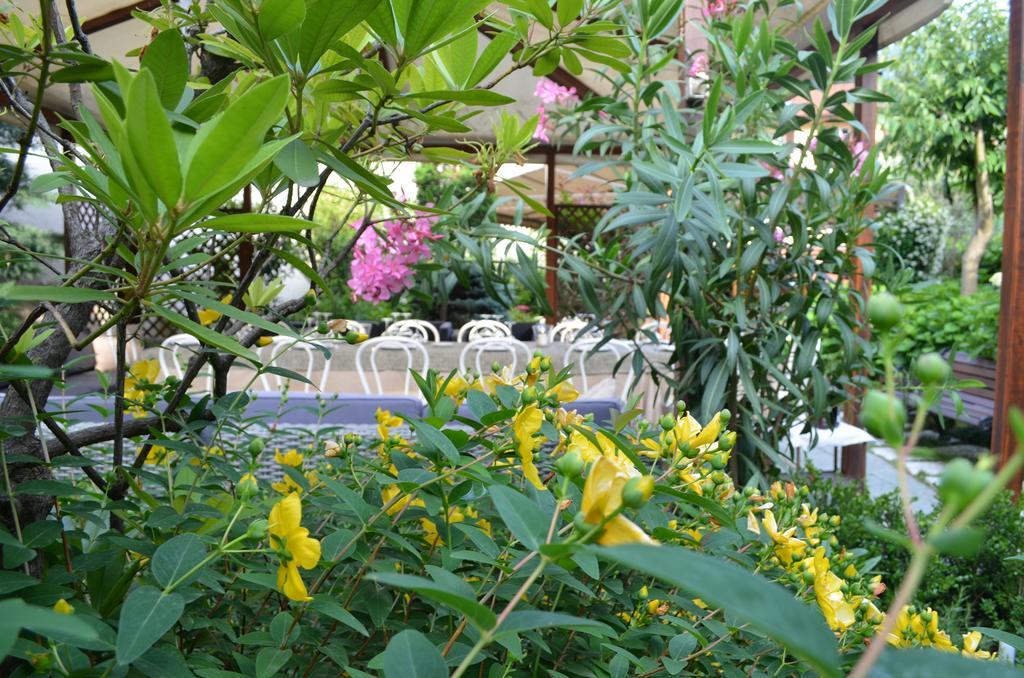 Albergo Giardino Cernobbio Exteriör bild